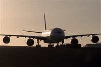 Javier de la Cruz - CANARY ISLANDS SPOTTING. Haz click para ampliar