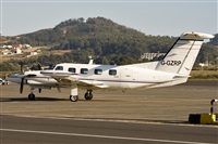 Javier de la Cruz - CANARY ISLANDS SPOTTING. Click to see full size photo