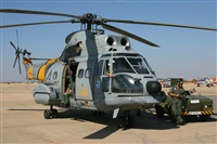 Fco. Javier Snchez. Click to see full size photo