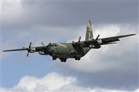 Jos Miguel Bernases - Noisy Spotters. Click to see full size photo