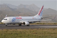 ALAMO AIRLINES.CANARY ISLANDS SPOTTING. Click to see full size photo