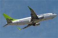 Rodrigo Carvalho - Noisy Spotters. Click to see full size photo