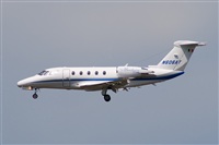 Javier de la Cruz - CANARY ISLANDS SPOTTING. Haz click para ampliar
