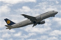 Luciano de la Rosa Gutirrez (Tenerife) Canary Islands Spotting. Click to see full size photo