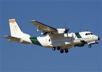 H.volar. Click to see full size photo