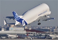 Rubn Gil - Noisy Spotters. Click to see full size photo