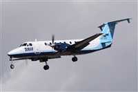 Alfonso Sols - Asociacin Canary Islands Spotting. Click to see full size photo