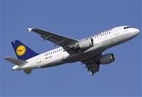 Jos Miguel Bernases - Noisy Spotters. Click to see full size photo