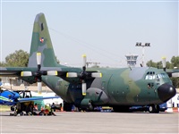 Ral Zamora M. Haz click para ampliar