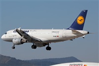 Rodrigo Carvalho - Noisy Spotters. Click to see full size photo