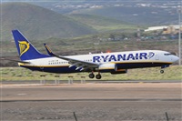 Miguel A. gueda Rguez.  (CANARY ISLANDS SPOTTING). Click to see full size photo
