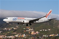 Javier de la Cruz - CANARY ISLANDS SPOTTING. Haz click para ampliar