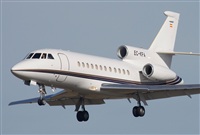 Jos Miguel Bernases - Noisy Spotters. Click to see full size photo