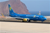 Javier de la Cruz - CANARY ISLANDS SPOTTING. Click to see full size photo