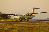 Javier de la Cruz - CANARY ISLANDS SPOTTING. Click to see full size photo