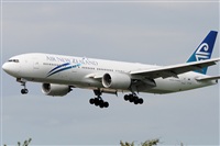 Rubn Gil - Noisy Spotters. Click to see full size photo