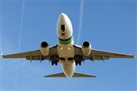 LEBL Spotter. Click to see full size photo