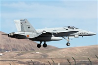 Adrin Alonso Lemes - Lanzarote Spotters. Click to see full size photo