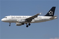 Miguel Alia - Noisy Spotters. Click to see full size photo