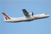 Rodrigo Carvalho - Noisy Spotters. Click to see full size photo