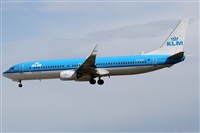 Rubn Gil - Noisy Spotters. Click to see full size photo