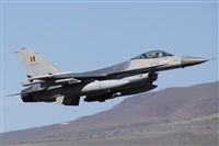 Alfonso Sols - Asociacin Canary Islands Spotting. Haz click para ampliar