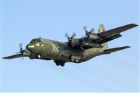 Bartolom Fernndez - Gran Canaria Spotters. Click to see full size photo