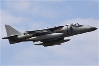 ©Alfonso Solís - Asociación Canary Islands Spotting. Click to see full size photo ©Alfonso Solís - Asociación Canary Islands Spotting. Click to see full size photo