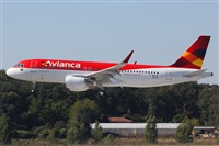 Rodrigo Carvalho - Noisy Spotters. Click to see full size photo