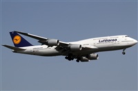 Rubn Gil - Noisy Spotters. Click to see full size photo