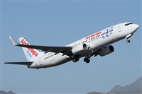 ©Alfonso Solís - Asociación Canary Islands Spotting. Click to see full size photo ©Alfonso Solís - Asociación Canary Islands Spotting. Click to see full size photo