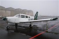 Saimon J Rodriguez   -   Canary Islands Spotting. Click to see full size photo