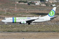 Alfonso Sols - Asociacin Canary Islands Spotting. Click to see full size photo