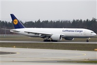 Rubn Gil - Noisy Spotters. Click to see full size photo