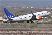 Alfonso Sols - Asociacin Canary Islands Spotting. Click to see full size photo