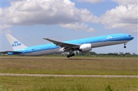 Miguel A. gueda Rguez.  (CANARY ISLANDS SPOTTING). Click to see full size photo