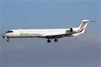 Adrin Alonso Lemes - Lanzarote Spotters. Click to see full size photo