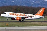La Roche Spotters. Click to see full size photo