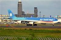 Miguel A. gueda Rguez.  (CANARY ISLANDS SPOTTING). Click to see full size photo