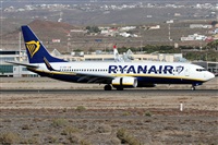 ©Alfonso Solís - Asociación Canary Islands Spotting. Click to see full size photo ©Alfonso Solís - Asociación Canary Islands Spotting. Click to see full size photo