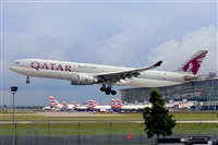 Miguel A. gueda Rguez.  (CANARY ISLANDS SPOTTING). Click to see full size photo