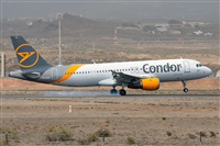 Miguel A. gueda Rguez.  (CANARY ISLANDS SPOTTING). Click to see full size photo