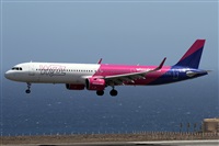 Alfonso Sols - Asociacin Canary Islands Spotting. Haz click para ampliar