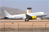 Miguel A. gueda Rguez.  (CANARY ISLANDS SPOTTING). Haz click para ampliar