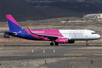 ©Alfonso Solís - Asociación Canary Islands Spotting. Click to see full size photo ©Alfonso Solís - Asociación Canary Islands Spotting. Click to see full size photo