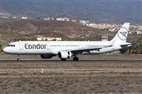 ©Alfonso Solís - Asociación Canary Islands Spotting. Click to see full size photo ©Alfonso Solís - Asociación Canary Islands Spotting. Click to see full size photo