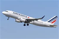 Miguel A. gueda Rguez.  (CANARY ISLANDS SPOTTING). Click to see full size photo