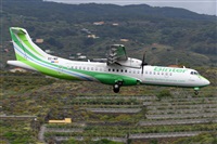 Miguel A. gueda Rguez.  (CANARY ISLANDS SPOTTING). Click to see full size photo
