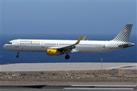 ©Alfonso Solís - Asociación Canary Islands Spotting. Click to see full size photo ©Alfonso Solís - Asociación Canary Islands Spotting. Click to see full size photo