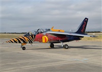 Joaqun Bueno Daza -Aire. org / Airbus DS fans group. Click to see full size photo